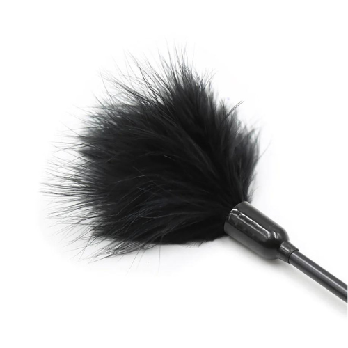 Plumín negro c/strasses 272400048